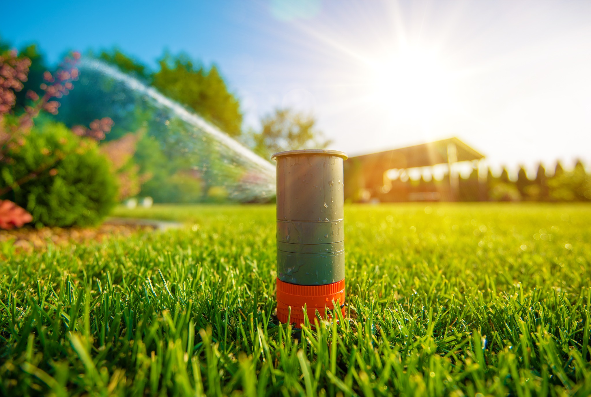 Systemy automatycznego nawadniania