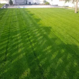 Starannie utrzymany trawnik z wyraźnymi pasami po koszeniu, w tle basen z leżakami i biały mur otaczający posesję, cień drzewa na pierwszym planie.