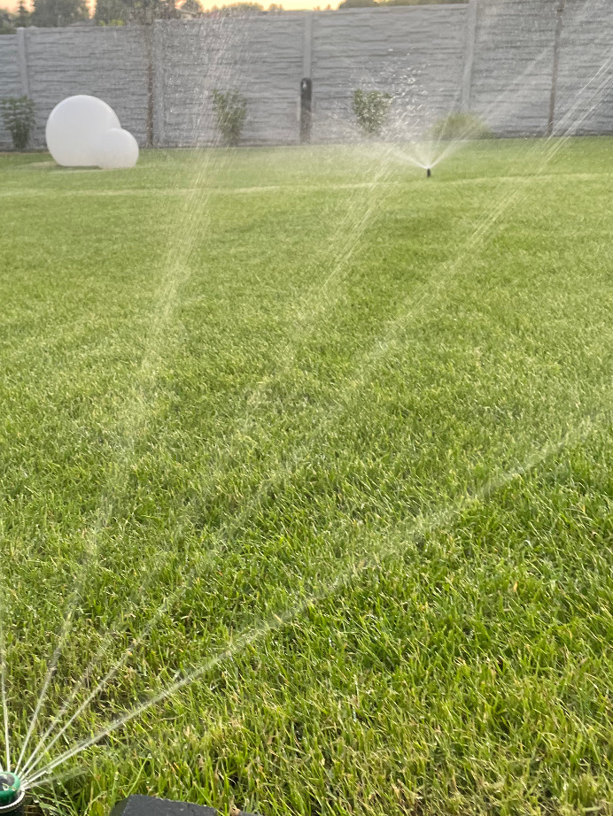 Automatyczne nawadnianie trawnika w ogrodzie z dekoracyjną białą kulą. Zraszacze w akcji, w tle szary płot i krzewy. Soczysta zieleń trawy.