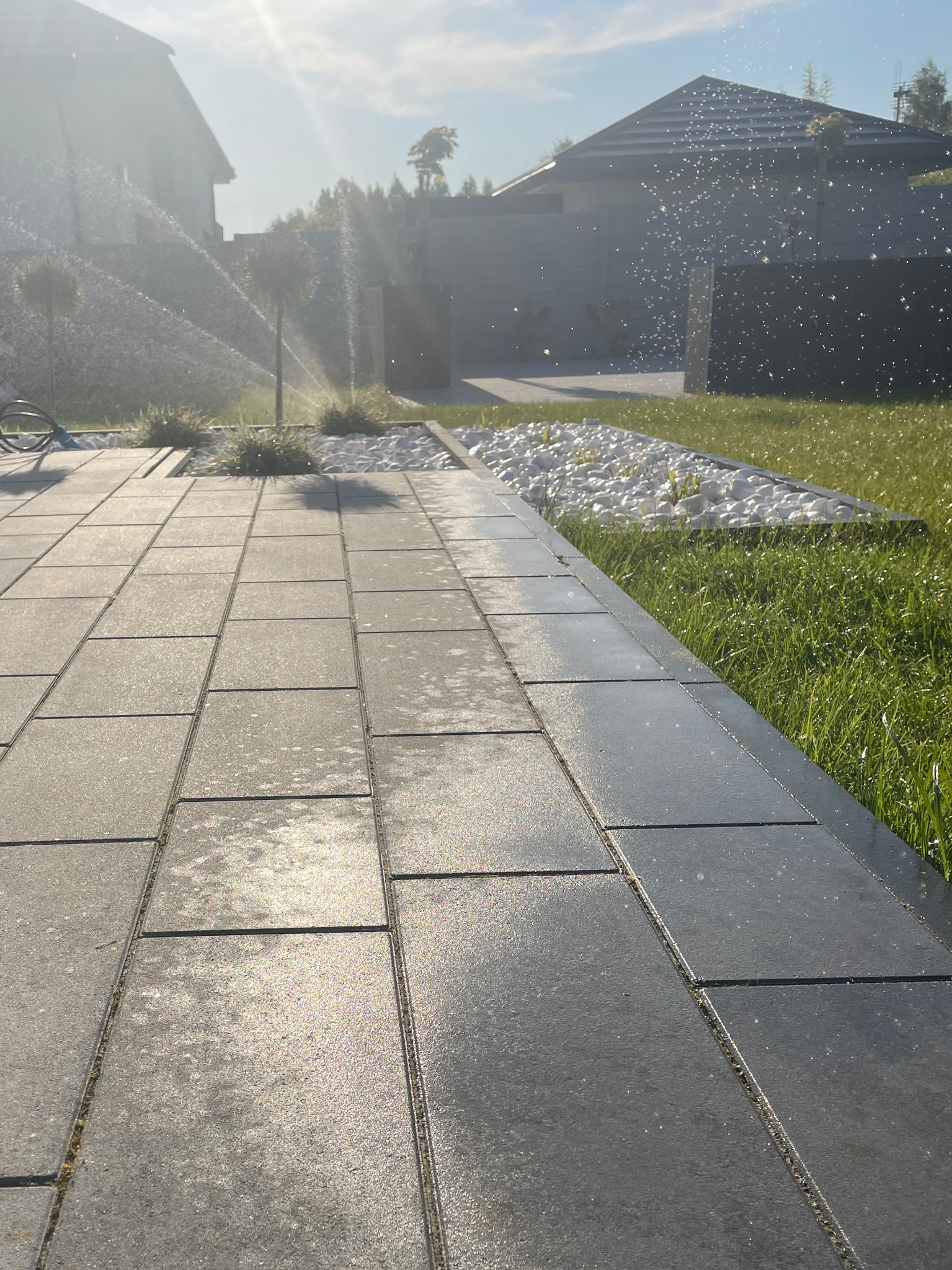 Szare, prostokątne płyty chodnikowe, obok trawnik z białymi kamieniami i systemem nawadniania w akcji, zraszającym rośliny w słoneczny dzień.