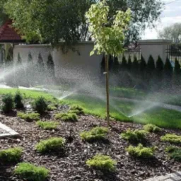 Automatyczne zraszacze nawadniające trawnik i rabaty z korą, w tle mur z tujami i metalowe ogrodzenie.