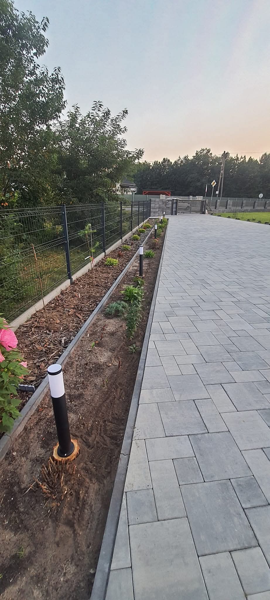 Nowoczesna posesja z szarą kostką brukową, ogrodzeniem panelowym i oświetleniem ogrodowym w postaci niskich lamp na drewnianych podstawach, rabata z korą i nasadzeniami wzdłuż ścieżki.