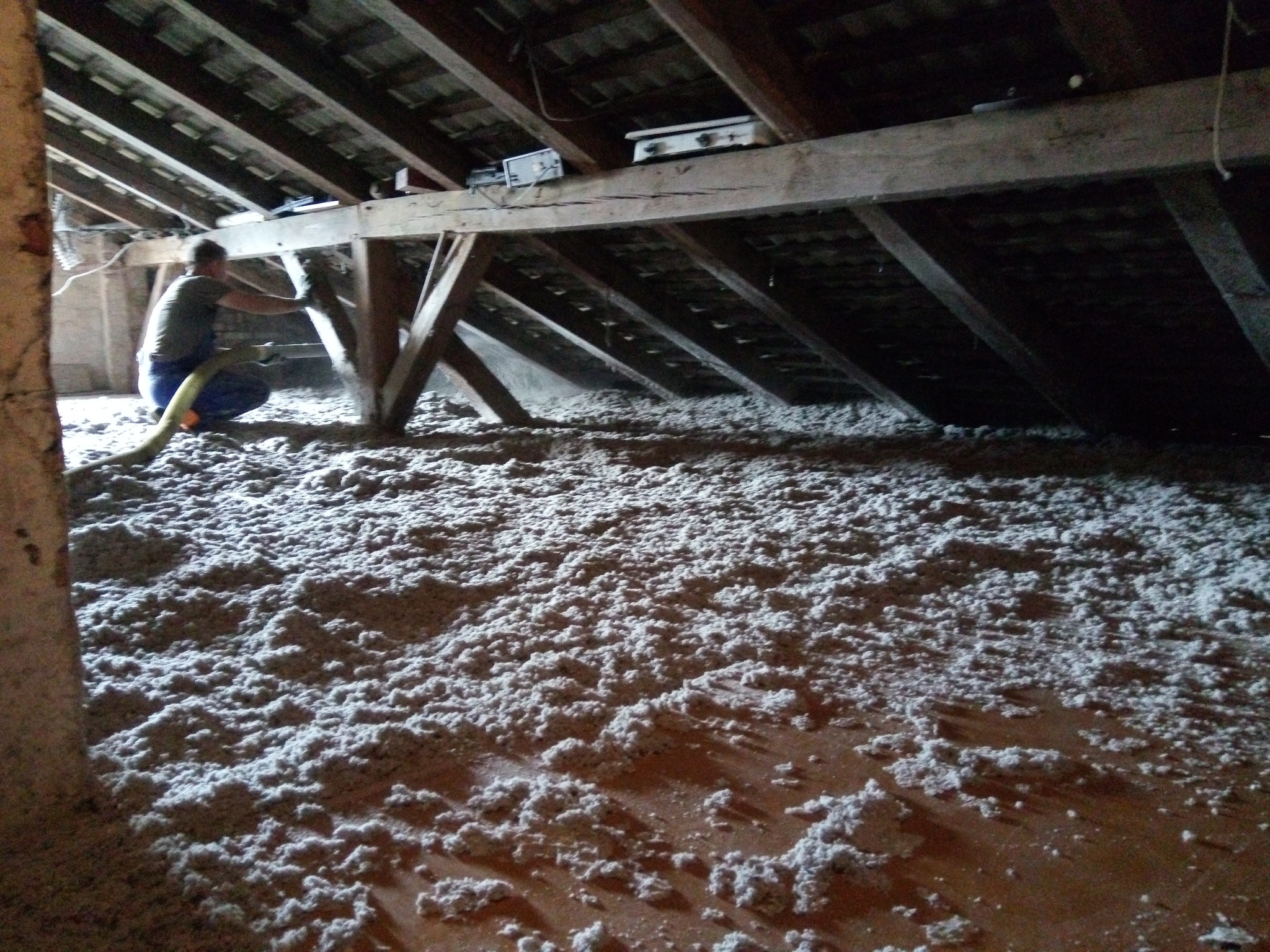 celuloza rino docieplenia