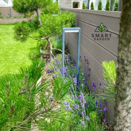 Your Smart Garden Sp. z o.o. - Fragment ogrodu z niską sosną, kwitnącą lawendą i nowoczesną lampą ogrodową, widok przez gałęzie sosny, w tle drewniana palisada z logo firmy.
