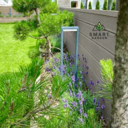 Fragment ogrodu z niską sosną, kwitnącą lawendą i nowoczesną lampą ogrodową, widok przez gałęzie sosny, w tle drewniana palisada z logo firmy.