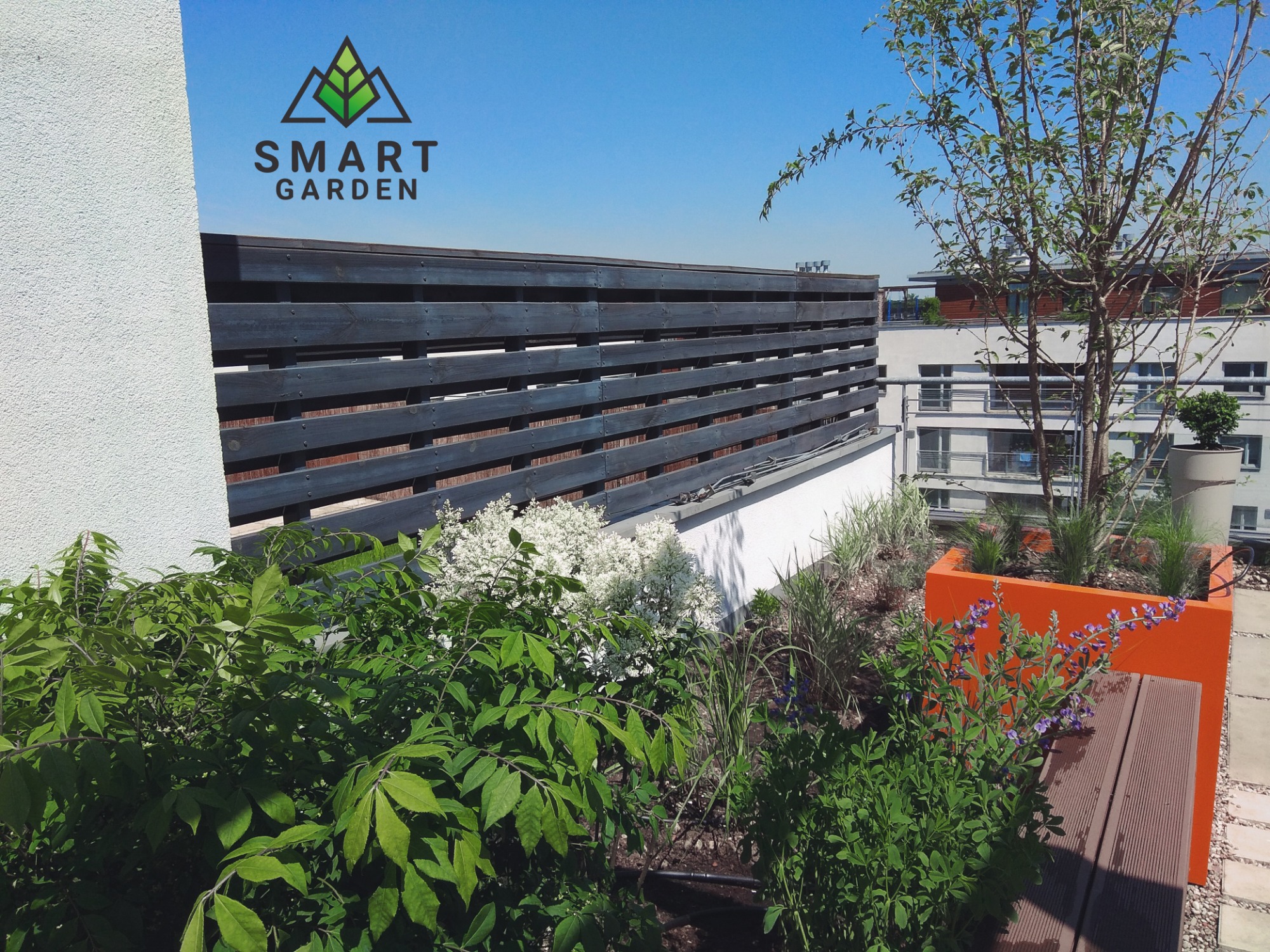 Ogród na dachu z drewnianym ogrodzeniem, kolorowymi donicami i różnorodną roślinnością, w tle budynki mieszkalne.