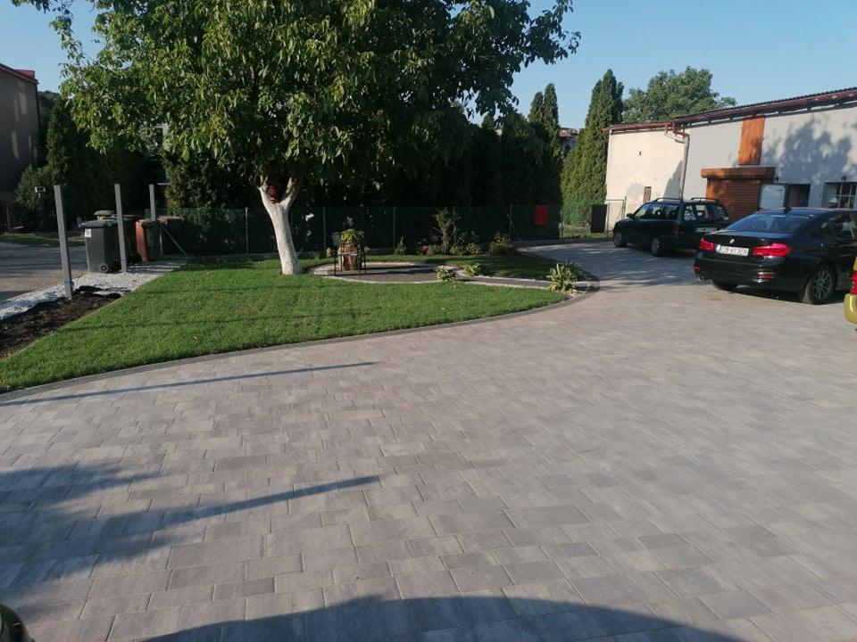 Ułożona szara kostka brukowa na podjeździe, obok trawnik z drzewem z pomalowanym pniem, w tle budynek i zaparkowane samochody.