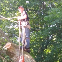 Bart-Drew Bartosz Bałabun - Ogrody Ostr&oacute;da