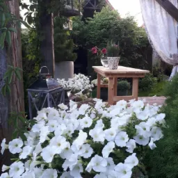 Projekt tarasu i ogrodu