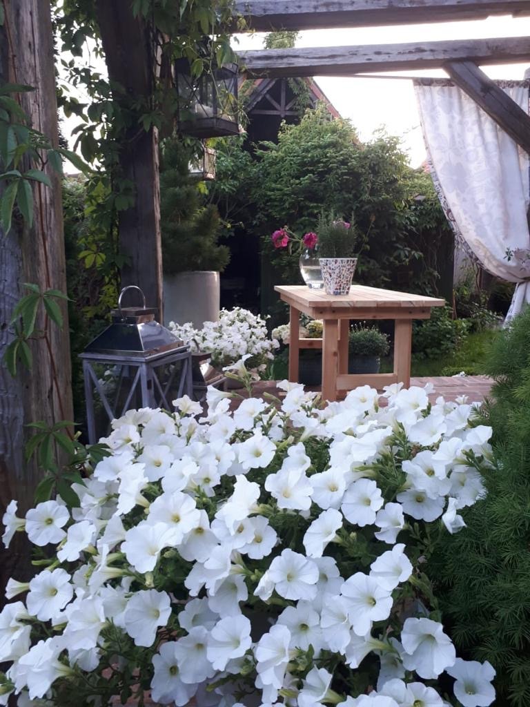 Projekt tarasu i ogrodu