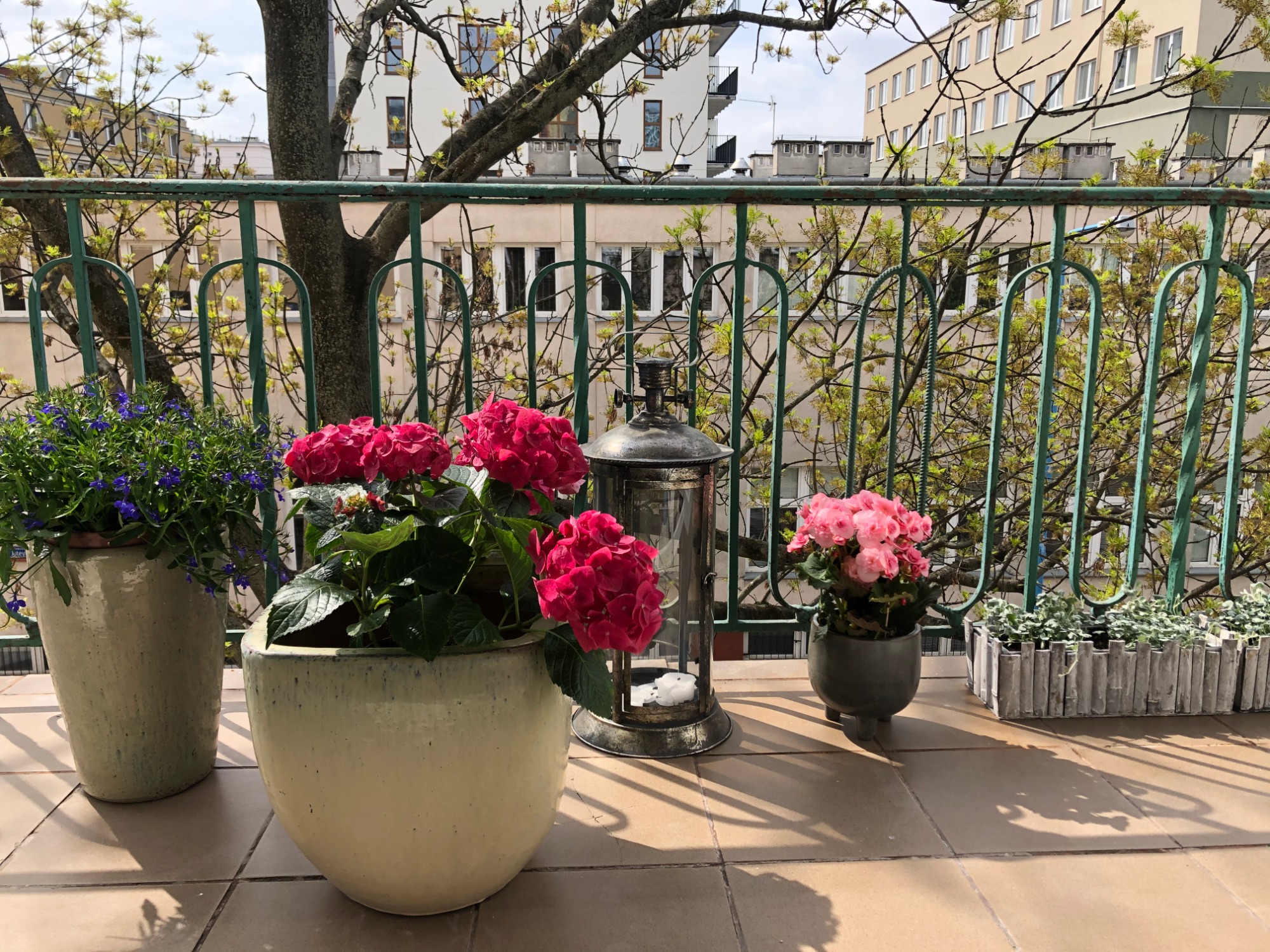 Aranżacja kwiatowa na balkonie z pelargoniami, lobelią i lampionem na tle zielonej balustrady i budynków.