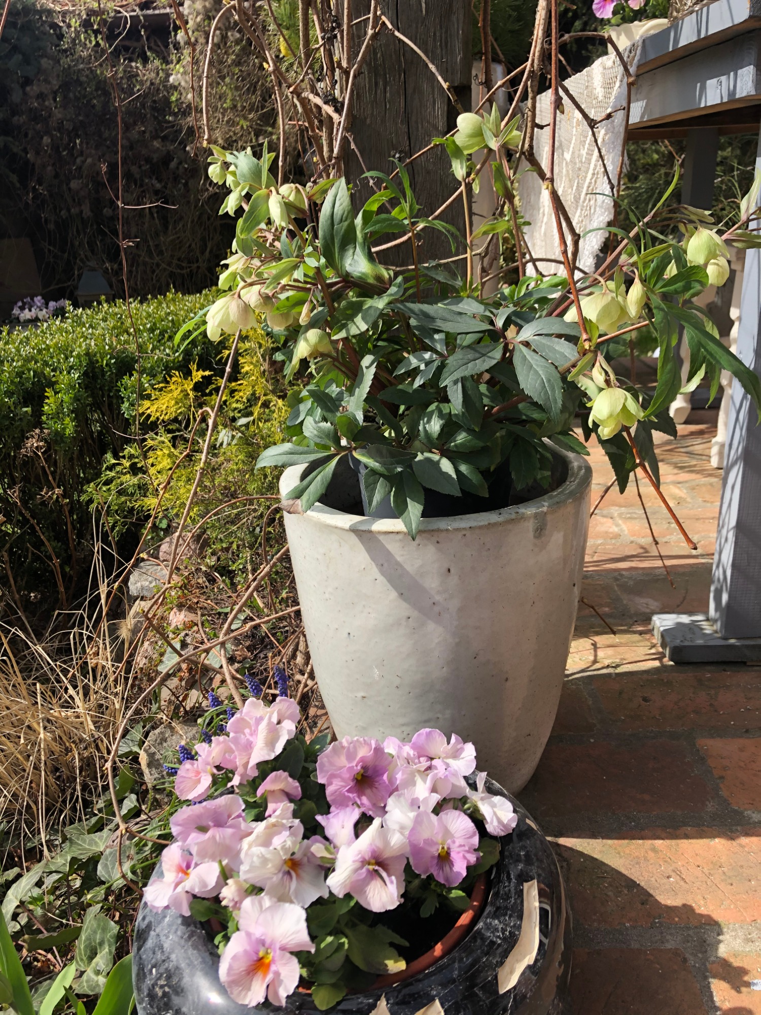 Kompozycja dwóch donic: większej z ciemnozielonymi liśćmi i bladozielonymi kwiatami oraz mniejszej z różowo-fioletowymi bratkami, na tle ceglanej nawierzchni i elementów drewnianej konstrukcji.