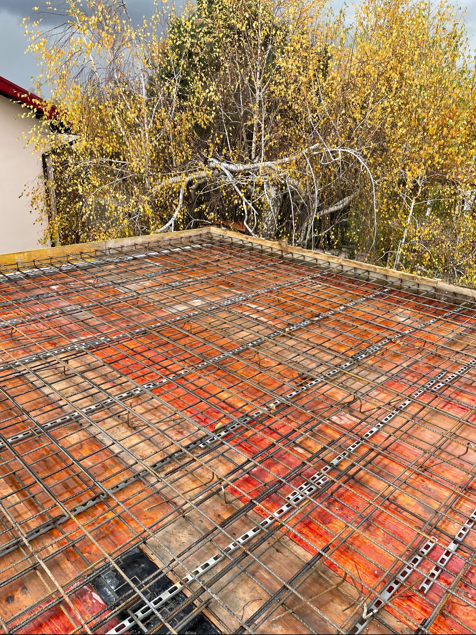 Siatka zbrojeniowa na deskowaniu stropu, z widocznymi dystansami, na tle jesiennego drzewa.