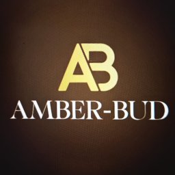 AMBER-BUD PAWEŁ ŚLIWIŃSKI - Remontowanie Mieszkań Wiślinka