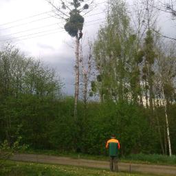 Pielęgnacja ogrodów Radomin 4