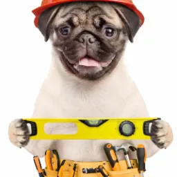 Uśmiechnięty pies rasy Mops w pomarańczowym kasku budowlanym trzymający poziomicę i noszący pas narzędziowy wypełniony narzędziami, na białym tle.