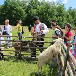 Grupa dzieci obserwuje mężczyznę w stroju ludowym karmiącego kozy za drewnianym ogrodzeniem na tle zielonej łąki i lasu.