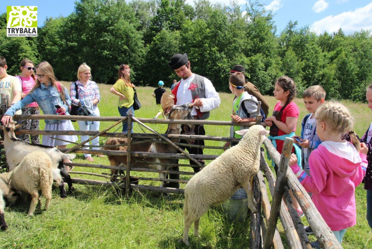 Grupa dzieci obserwuje mężczyznę w stroju ludowym karmiącego kozy za drewnianym ogrodzeniem na tle zielonej łąki i lasu.