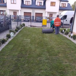 Proxential sp. z o.o. - Dwaj mężczyźni wyrównują nowo rozłożoną trawę z rolki za pomocą walca ogrodowego na tle szeregu domów jednorodzinnych i zaparkowanych samochodów.