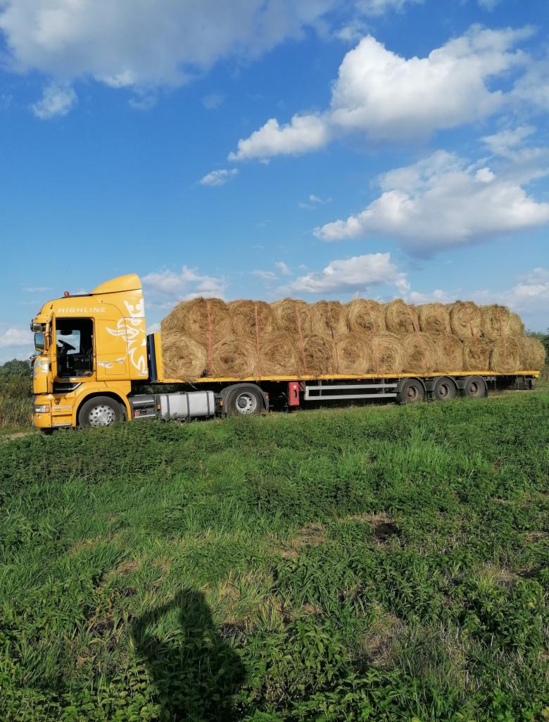 Żółta ciężarówka marki Highline z ładunkiem okrągłych bel siana, widoczna z boku na tle błękitnego nieba z chmurami.
