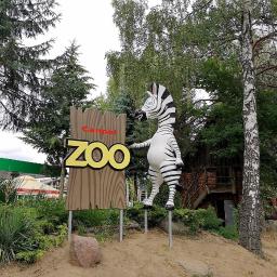 Witacz Zebra - Zoo Canpol