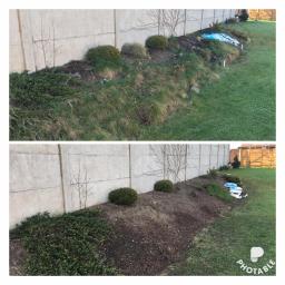 Pro-Clean s.c - Porównanie stanu rabaty przed i po: zarośnięta trawa kontra świeżo przekopana ziemia z nasadzeniami wzdłuż betonowego ogrodzenia.