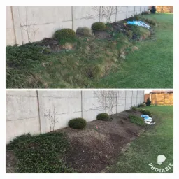 Porównanie stanu rabaty przed i po: zarośnięta trawa kontra świeżo przekopana ziemia z nasadzeniami wzdłuż betonowego ogrodzenia.