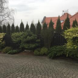 Pro-Clean s.c - Uporządkowany ogród przydomowy z tujami wzdłuż ciemnego drewnianego płotu, różnorodne krzewy i kostka brukowa na podjeździe w pochmurny dzień.