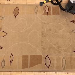 Wycinka drzew Płaza 4