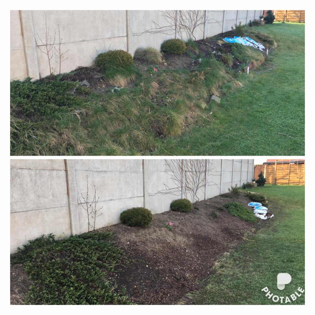 Porównanie stanu rabaty przed i po: zarośnięta trawa kontra świeżo przekopana ziemia z nasadzeniami wzdłuż betonowego ogrodzenia.