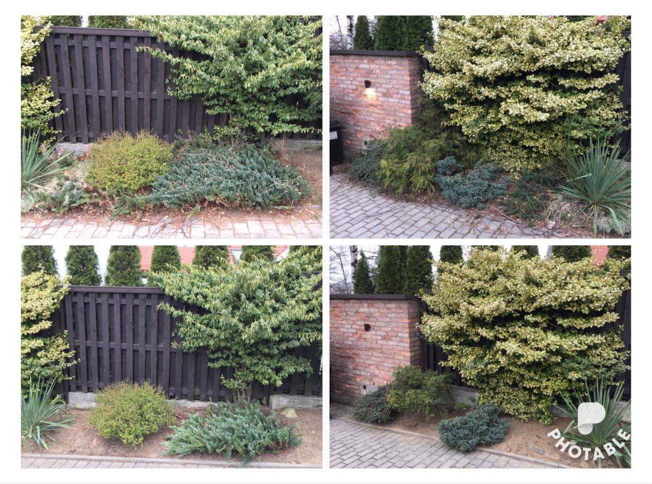 Kolaż czterech ujęć ogrodu z różnymi roślinami ozdobnymi, krzewami iglastymi i liściastymi, oraz ciemnym drewnianym płotem i ceglanym murem.