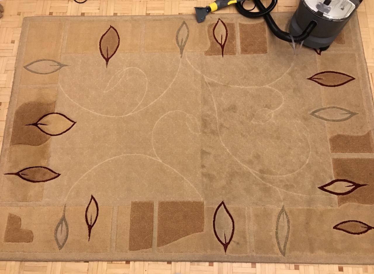 Dywan z motywem liści czyszczony odkurzaczem piorącym, widoczne ślady wilgoci po praniu.
