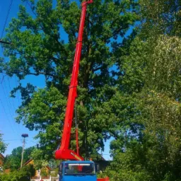 Czerwony podnośnik koszowy MAN na tle drzew z pracownikiem w koszu, widoczne przewody elektryczne i gniazdo bocianie na słupie.