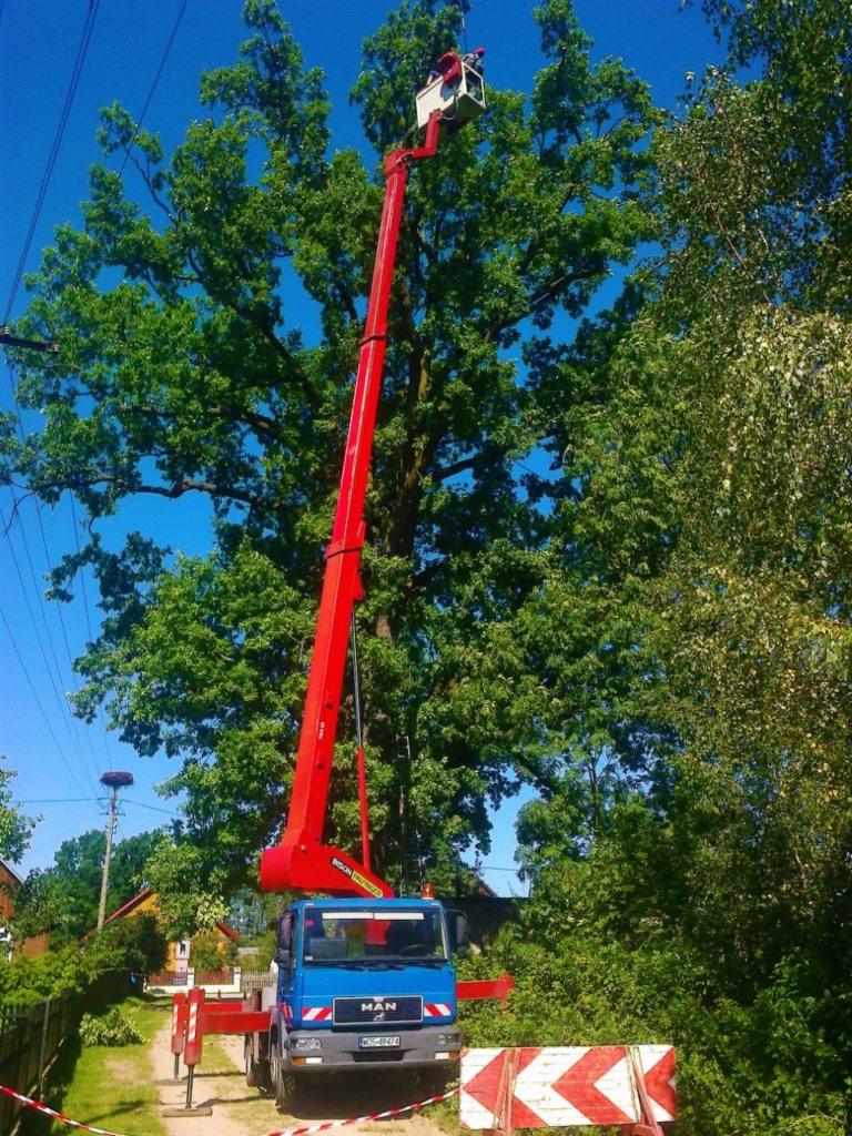 Czerwony podnośnik koszowy MAN na tle drzew z pracownikiem w koszu, widoczne przewody elektryczne i gniazdo bocianie na słupie.