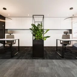 Nowoczesne biuro z dwoma stanowiskami pracy, szarymi krzesłami obrotowymi, biurkami na metalowych nogach i dużą rośliną w czarnej donicy pośrodku, z białymi szafkami w tle i napisem na ścianie.