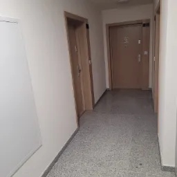 Korytarz w bloku z trzema drewnianymi drzwiami do mieszkań, numer 20 widoczny na jednej z nich, podłoga pokryta szarymi płytkami.