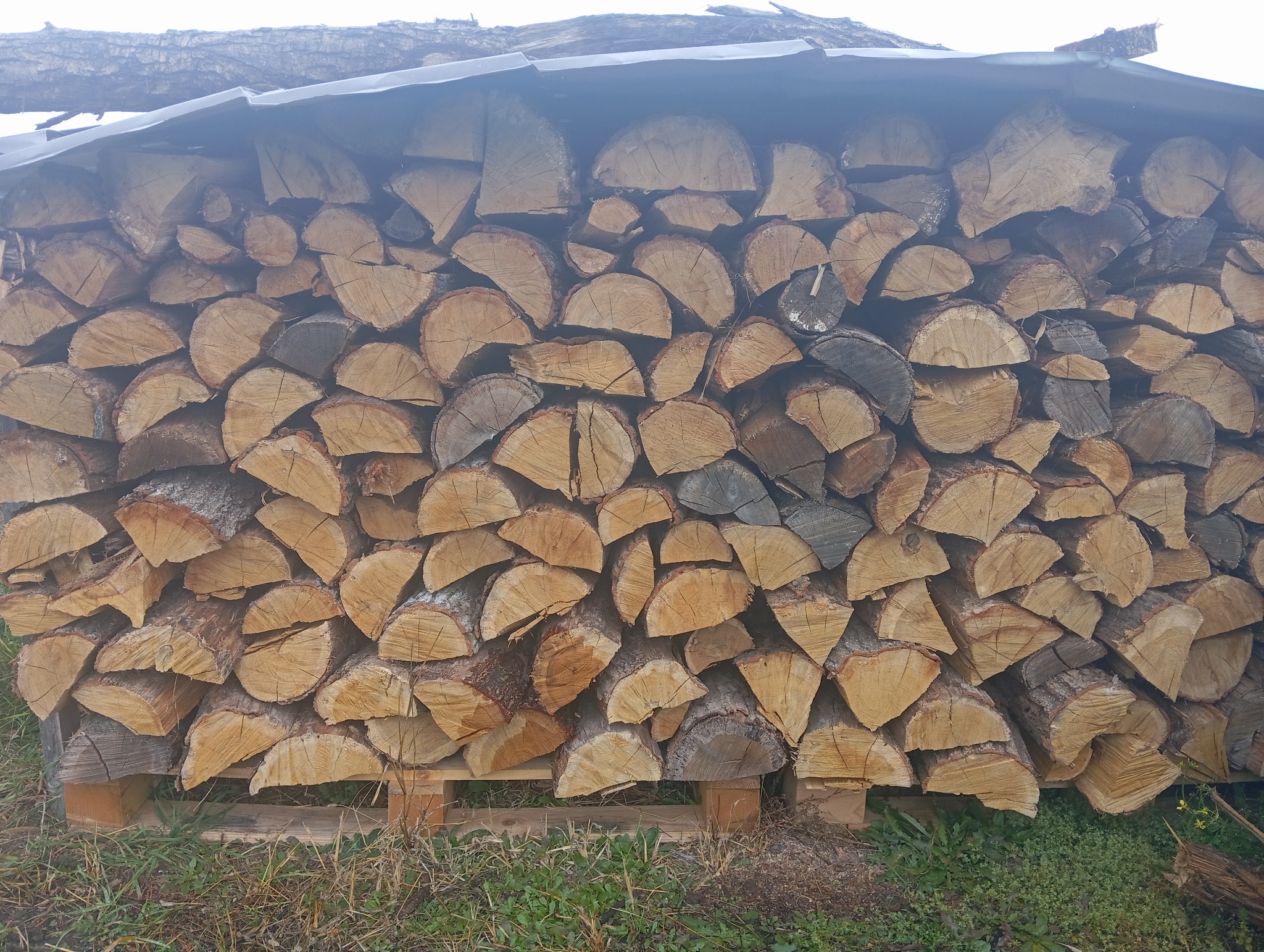 Stos pociętego drewna ułożonego pod zadaszeniem w Wincentowie, widoczny na palecie z fragmentami trawy.