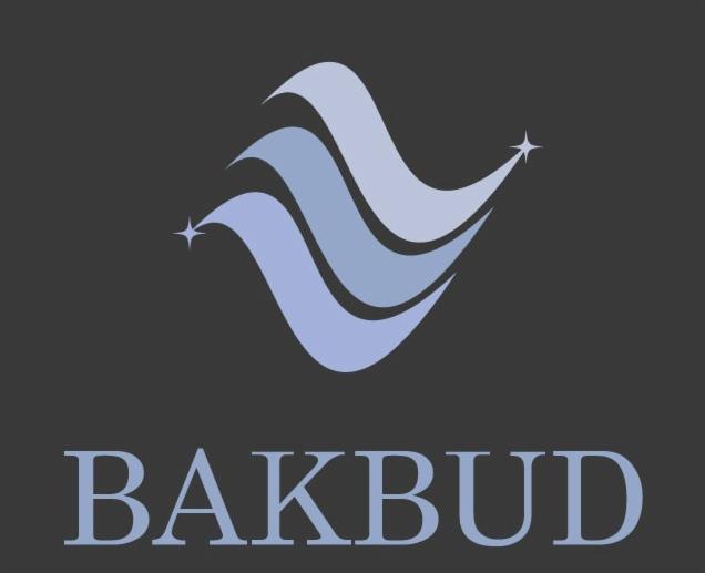 Logo firmy BAKBUD z trzema stylizowanymi falami w odcieniach błękitu i gwiazdami.