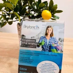 Ekspozycja oferty firmy sprzątającej 'Brylancik' z hasłem 'Kompleksowe usługi sprzątające' i wizerunkiem uśmiechniętej kobiety w stroju roboczym, obok doniczka z rośliną i cytryną.