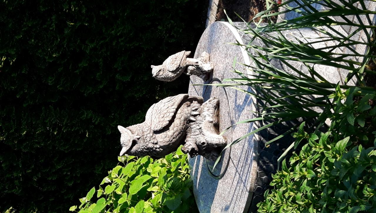 Ozdobna, kamienna fontanna w ogrodzie z dwoma rzeźbami sów, otoczona zielenią. Ujęcie z bliska, ukazujące detale rzeźb i roślin.