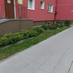 Uporządkowany pas zieleni z krzewami i trawą, oddzielony od budynku obsypanymi kamykami, widok z chodnika.