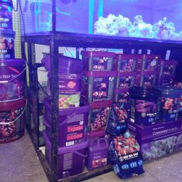 Akcesoria zoologiczne Bielsko-Biała 4