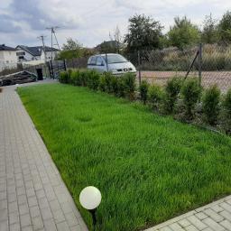 Koszenie trawy Szczecin 2