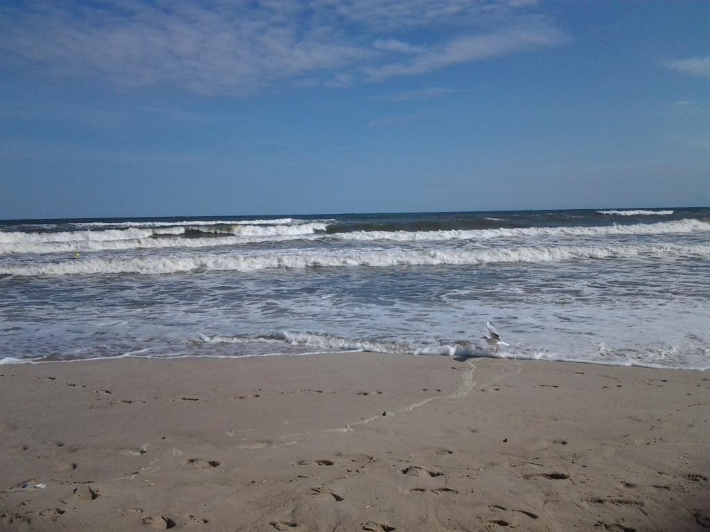 Plaża z falami i lecącą mewą w kadrze, piasek w kolorze beżowym, błękitne niebo z chmurami.