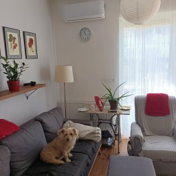 Klimat Instal - Wnętrze salonu z szarą sofą, na której siedzi pies rasy mieszanej, widoczny klimatyzator ścienny, lampa podłogowa i stolik wykonany ze starej maszyny do szycia Singer.