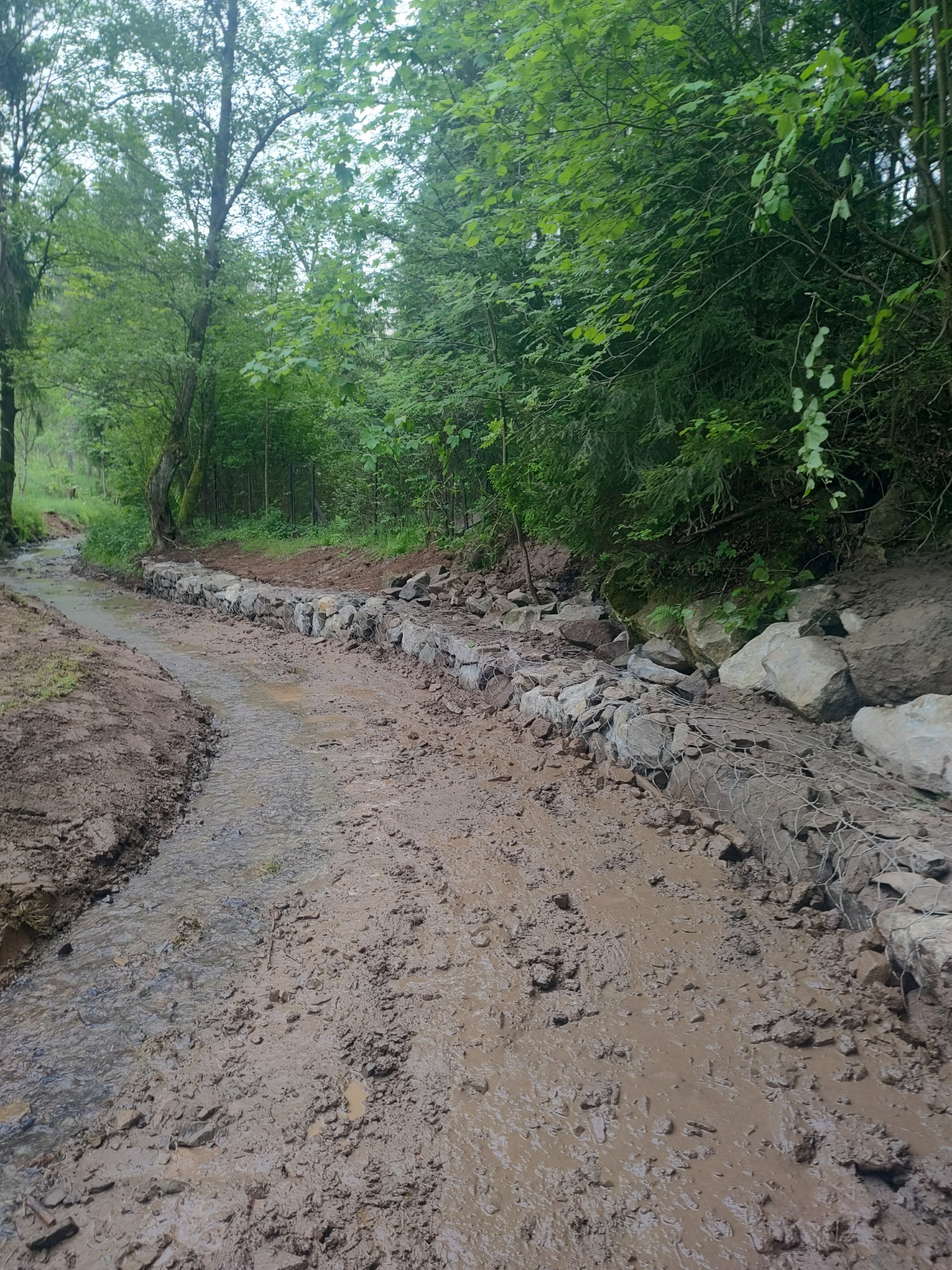 Regulacja koryta potoku z użyciem gabionów wypełnionych kamieniami, widok na mokre, gliniaste brzegi w otoczeniu zieleni.