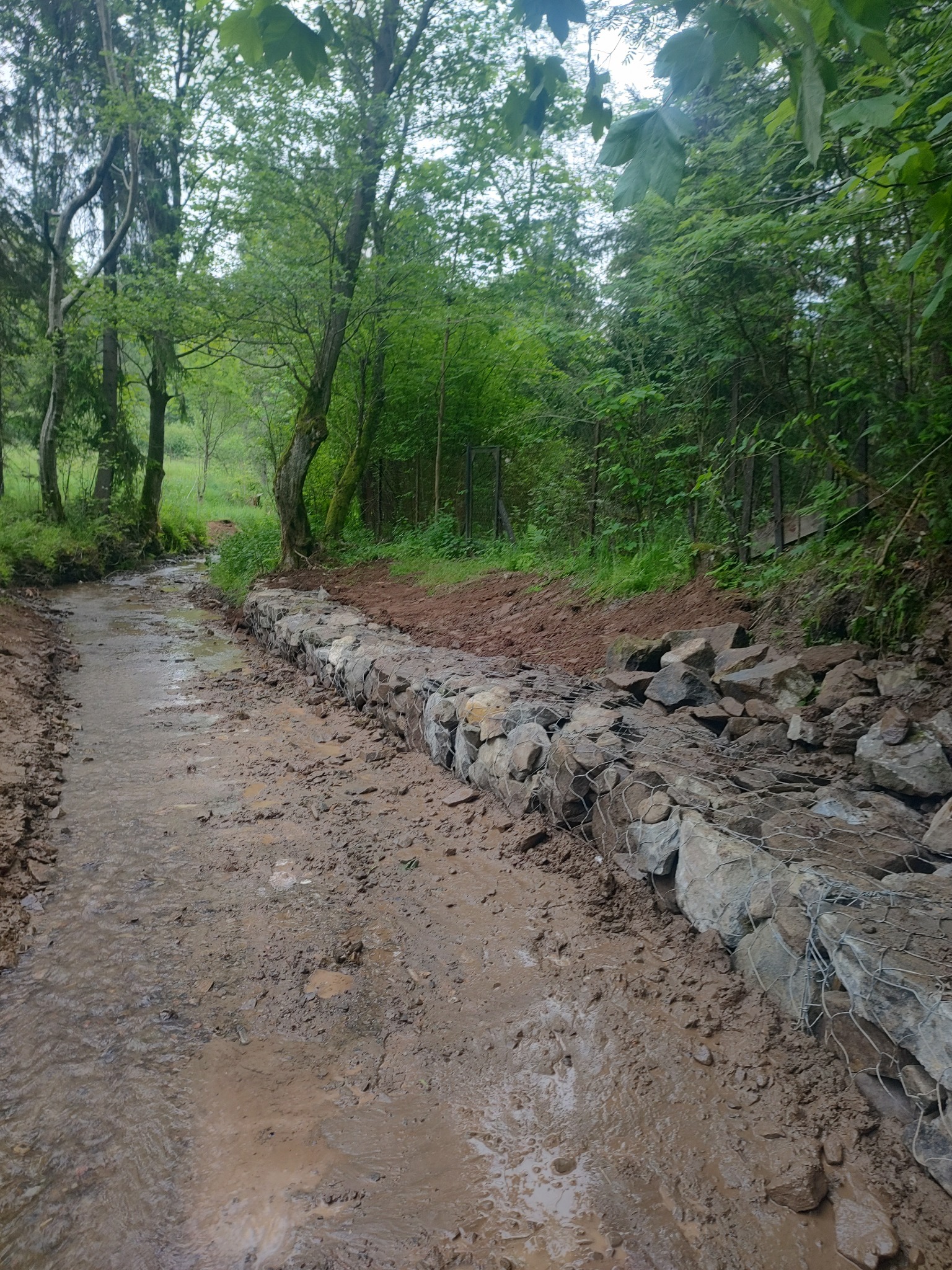 Brzeg potoku umocniony gabionami z kamienia, w tle zielona roślinność i drzewa.