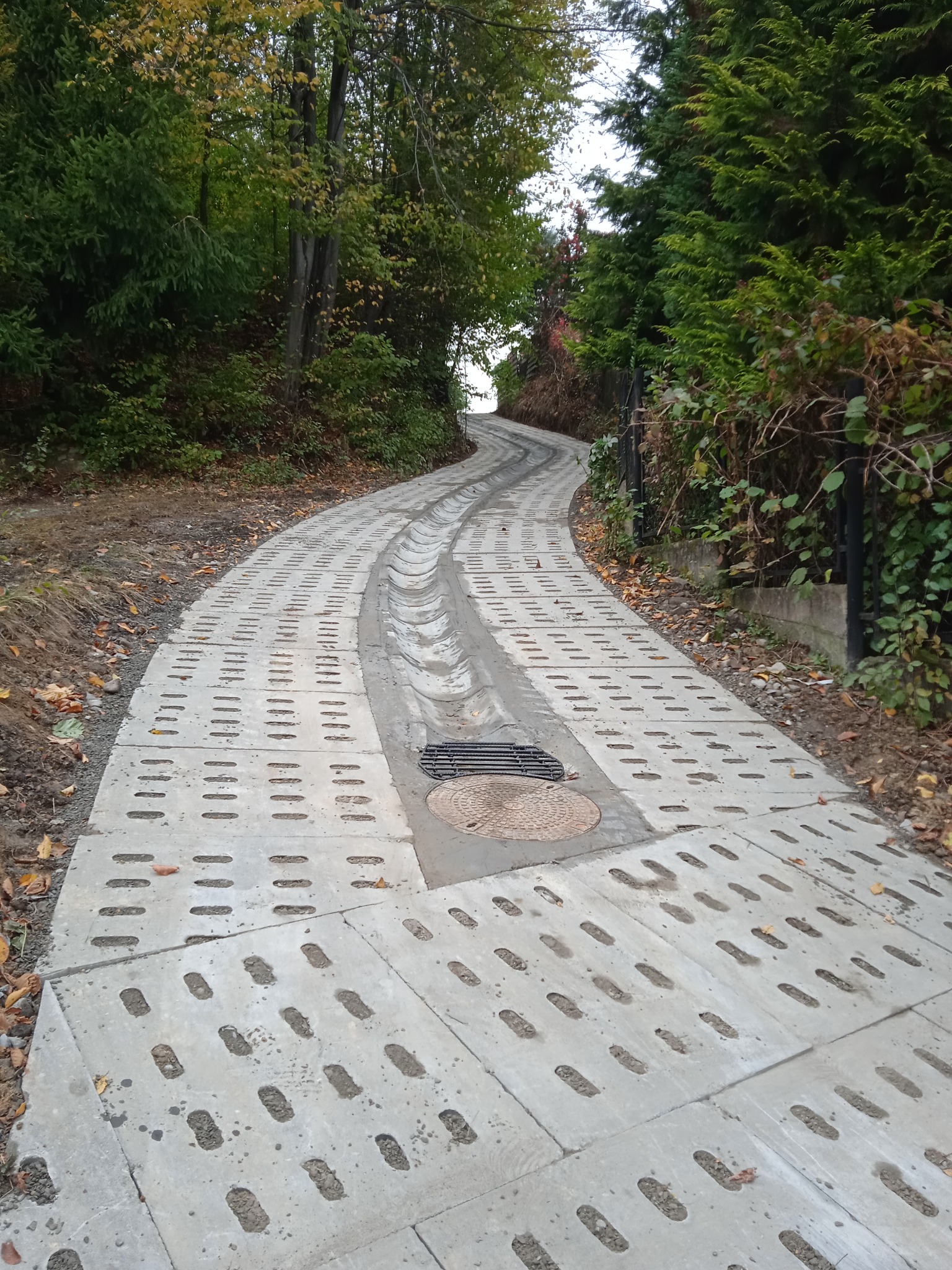 Betonowa droga z systemem odwadniającym, prowadząca przez zalesiony teren z opadłymi liśćmi.