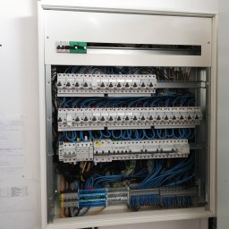 Elektryk Gdańsk 10