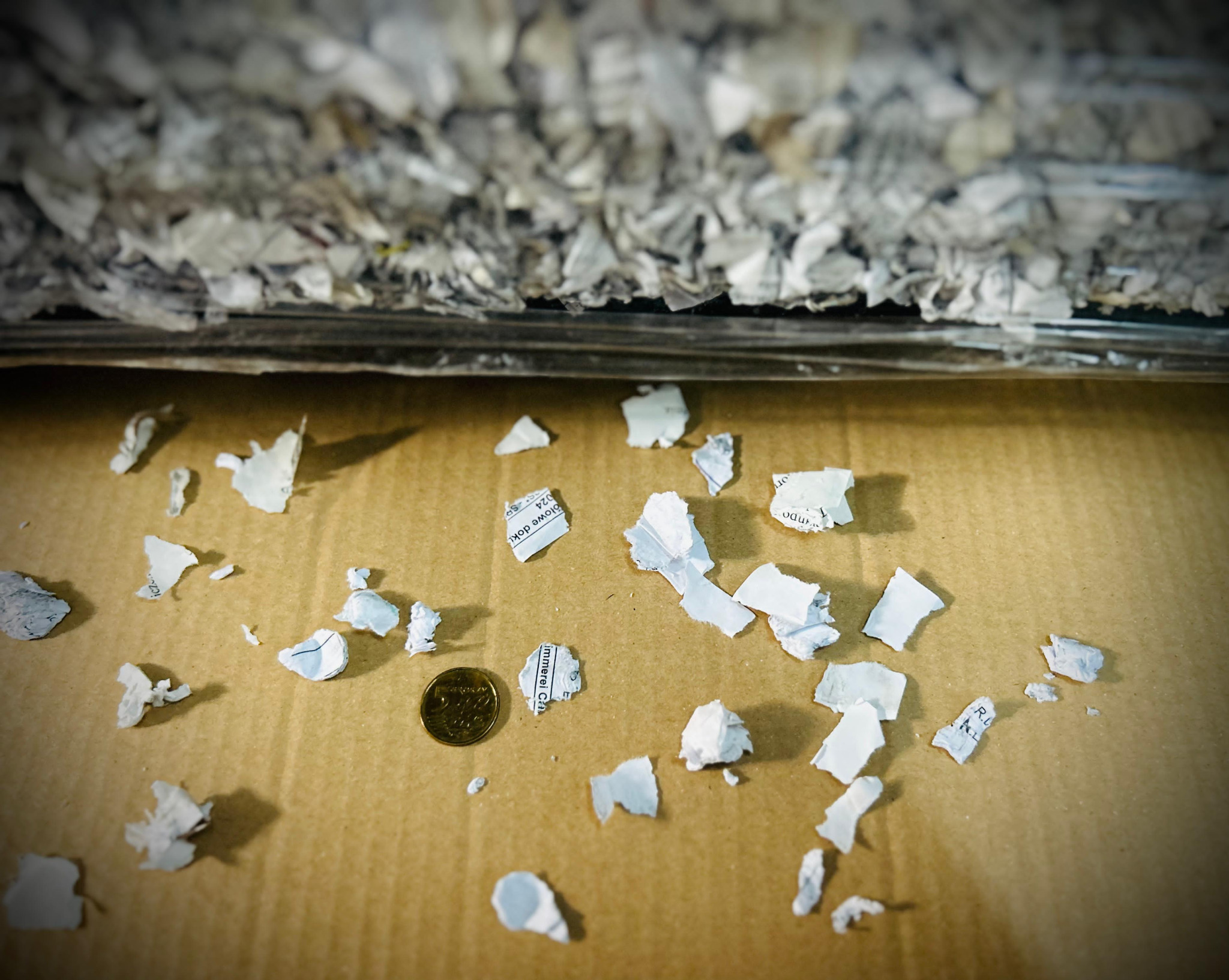 Fragmenty pociętych dokumentów na kartonowym podłożu, z monetą 5 zł dla skali, widoczne ostrza maszyny tnącej